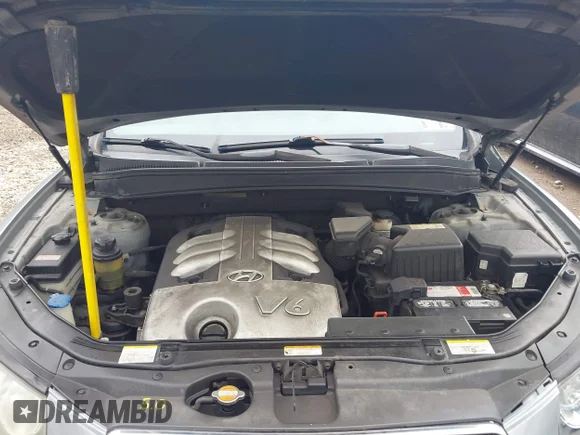 ✅ 2007 Hyundai Santa Fe SE • VIN: 5NMSH13E27H097551 • Lot: 45538527. Wystawiony na IAAI z przebiegiem 134 044 mil. Bezpłatny archiwum sprzedaży aukcyjnych z USA i szczegółowy raport historii pojazdu na DreamBid. Zdjęcie 10.