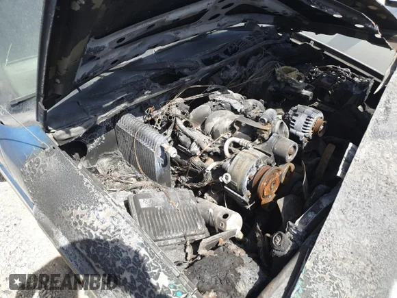 ✅ 1995 Chevrolet Blazer • VIN: 1GNDT13W8S2197190 • Лот: 52053765. Опубликован ранее на Copart с пробегом Не указан. Бесплатный доступ к архиву аукционных продаж из США и подробный отчёт об истории автомобиля на DreamBid. Изображение 12.