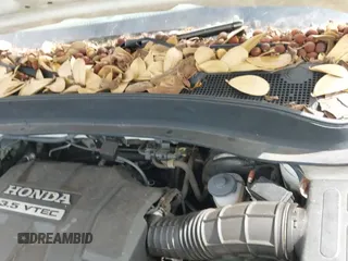 ✅ 2007 Honda Ridgeline RTS • VIN: 2HJYK164X7H525727 • Lot: 43700088. Wystawiony na IAAI z przebiegiem 184 769 mil. Bezpłatny archiwum sprzedaży aukcyjnych z USA i szczegółowy raport historii pojazdu na DreamBid. Zdjęcie 12.