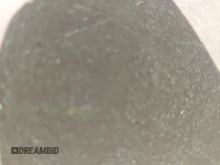 ✅ 1998 Oldsmobile 88 LS • VIN: 1G3HN52K7W4845557 • Lot: 42538877. Listed on IAAI with 197,906 mi. Free auction sales archive from the USA and detailed vehicle history report at DreamBid. Image 12.