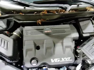 ✅ 2017 GMC Terrain SLT • VIN: 2GKFLUE37H6222702 • Лот: 84226675. Опубликован ранее на Copart с пробегом 33 127 миль. Бесплатный доступ к архиву аукционных продаж из США и подробный отчёт об истории автомобиля на DreamBid. Изображение 16.