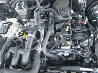 ✅ 2024 Ford Bronco Outer Banks • VIN: 1FMDE8BH3RLA77070 • Лот: 80607045. Опубликован ранее на Copart с пробегом 2 540 миль. Бесплатный доступ к архиву аукционных продаж из США и подробный отчёт об истории автомобиля на DreamBid. Изображение 15.