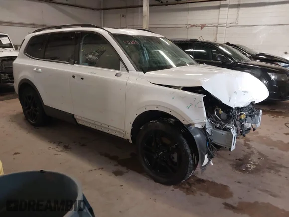 ✅ 2024 Kia Telluride SX Prestige X-Line • VIN: 5XYP5DGC4RG504405 • Лот: 44158312. Опубликован ранее на IAAI с пробегом 32 322 миль. Бесплатный доступ к архиву аукционных продаж из США и подробный отчёт об истории автомобиля на DreamBid. Изображение 1.
