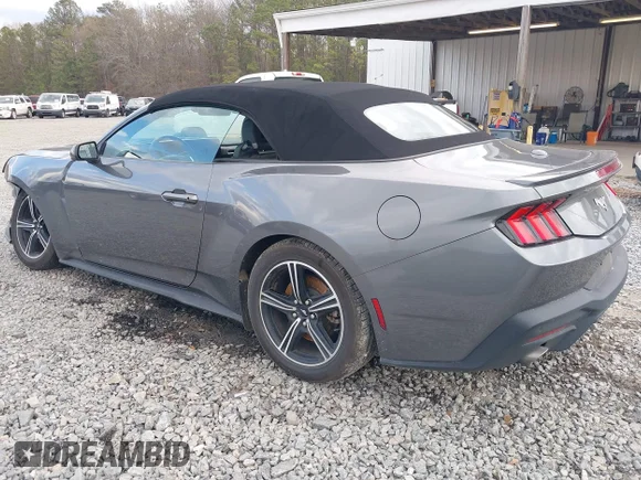 ✅ 2024 Ford Mustang EcoBoost Premium • VIN: 1FAGP8UH0R5137468 • Lot: 44368329. Wystawiony na IAAI z przebiegiem 49 328 mil. Bezpłatny archiwum sprzedaży aukcyjnych z USA i szczegółowy raport historii pojazdu na DreamBid. Zdjęcie 3.