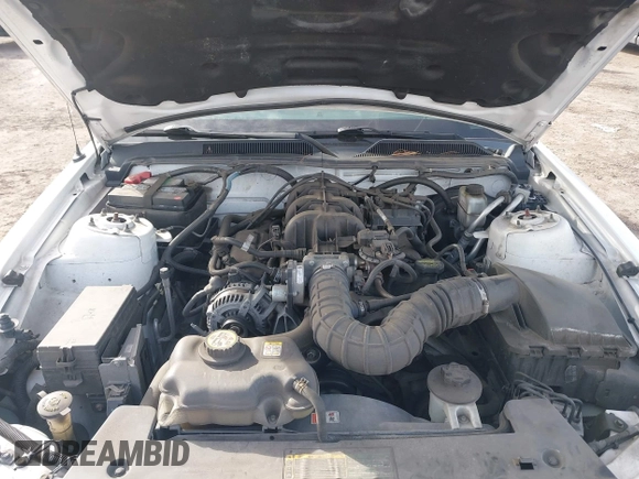 ✅ 2009 Ford Mustang • VIN: 1ZVHT80N795127085 • Lot: 44234738. Wystawiony na IAAI z przebiegiem 97 227 mil. Bezpłatny archiwum sprzedaży aukcyjnych z USA i szczegółowy raport historii pojazdu na DreamBid. Zdjęcie 10.