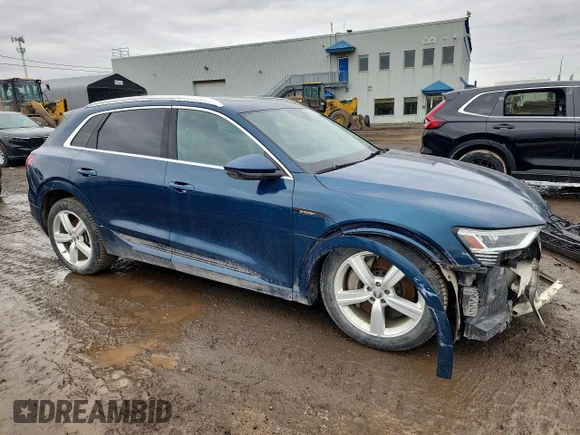 ✅ 2019 Audi e-tron Premium • VIN: WA1AAAGE6KB011756 • Lot: 48667986. Listed on Copart with 79,469 mi. Free auction sales archive from the USA and detailed vehicle history report at DreamBid. Image 4.