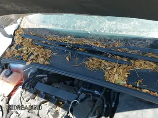 ✅ 2016 Ford Focus S • VIN: 1FADP3E22GL298686 • Лот: 43281834. Опубликован ранее на IAAI с пробегом 42 520 миль. Бесплатный доступ к архиву аукционных продаж из США и подробный отчёт об истории автомобиля на DreamBid. Изображение 12.