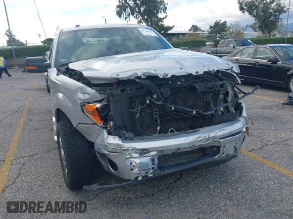 ✅ 2010 Ford F-150 XL • VIN: 1FTEW1C89AKE16937 • Lot: 43725251. Wystawiony na IAAI z przebiegiem 232 782 mil. Bezpłatny archiwum sprzedaży aukcyjnych z USA i szczegółowy raport historii pojazdu na DreamBid. Zdjęcie 6.