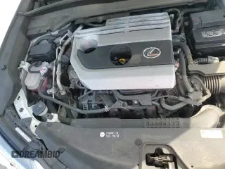 ✅ 2020 Lexus UX 200 • VIN: JTHP3JBH9L2026473 • Lot: 61216655. Listed on Copart with 134,592 mi. Free auction sales archive from the USA and detailed vehicle history report at DreamBid. Image 15.