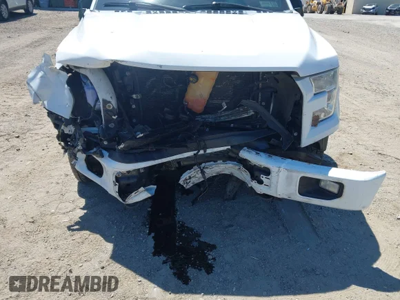 ✅ 2017 Ford F-150 XLT • VIN: 1FTEW1EP2HFA39276 • Lot: 45291879. Wystawiony na IAAI z przebiegiem 160 873 mil. Bezpłatny archiwum sprzedaży aukcyjnych z USA i szczegółowy raport historii pojazdu na DreamBid. Zdjęcie 6.