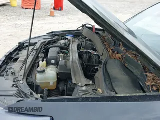 ✅ 2021 Ford Police Interceptor Utility • VIN: 1FM5K8AB5MGB99053 • Лот: 42276939. Опубликован ранее на IAAI с пробегом 42 811 миль. Бесплатный доступ к архиву аукционных продаж из США и подробный отчёт об истории автомобиля на DreamBid. Изображение 21.