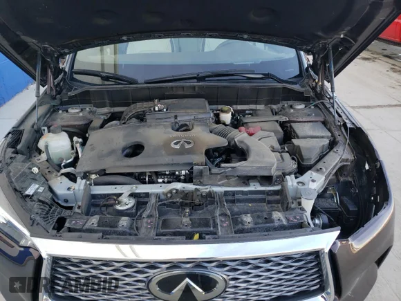 ✅ 2021 Infiniti QX50 Autograph • VIN: 3PCAJ5DB7MF116846 • Лот: 37248283. Опубліковано раніше на Copart з пробігом 20 879 миль. Безкоштовний доступ до архіву аукціонних продажів зі США та докладний звіт про історію автомобіля на DreamBid. Зображення 11.