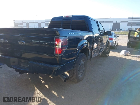 ✅ 2010 Ford F-150 • VIN: 1FTEW1CV1AFD03448 • Lot: 43502370. Wystawiony na IAAI z przebiegiem 140 449 mil. Bezpłatny archiwum sprzedaży aukcyjnych z USA i szczegółowy raport historii pojazdu na DreamBid. Zdjęcie 4.