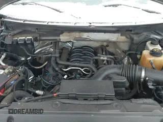 ✅ 2013 Ford F-150 XL • VIN: 1FTVW1EF4DKE07465 • Лот: 41601235. Опубликован ранее на IAAI с пробегом 131 721 миль. Бесплатный доступ к архиву аукционных продаж из США и подробный отчёт об истории автомобиля на DreamBid. Изображение 19.