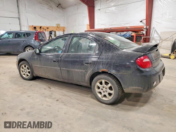 ✅ 2003 Dodge Neon SXT • VIN: 1B3ES56C43D259152 • Лот: 78897225. Опубліковано раніше на Copart з пробігом 21 786 миль. Безкоштовний доступ до архіву аукціонних продажів зі США та докладний звіт про історію автомобіля на DreamBid. Зображення 2.