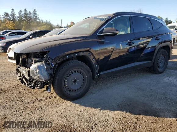✅ 2022 Hyundai Tucson Luxury • VIN: KM8JCCA10NU056603 • Lot: 83811325. Listed on Copart with 97,512 mi. Free auction sales archive from the USA and detailed vehicle history report at DreamBid. Image 1.