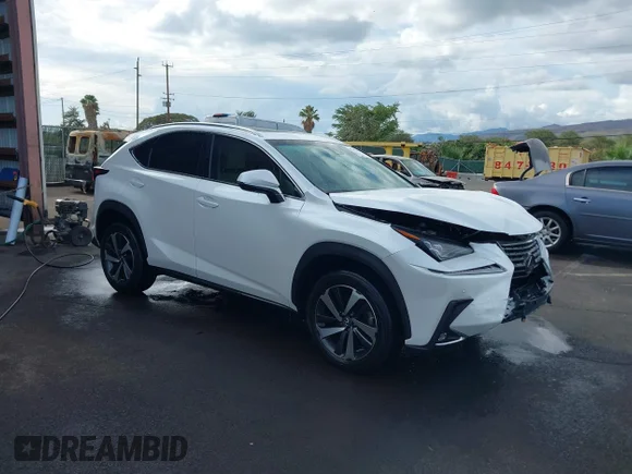 ✅ 2018 Lexus NX 300 • VIN: JTJYARBZXJ2109195 • Лот: 42045698. Опубліковано раніше на IAAI з пробігом 41 583 миль. Безкоштовний доступ до архіву аукціонних продажів зі США та докладний звіт про історію автомобіля на DreamBid. Зображення 1.