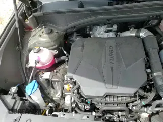 2024 Hyundai Santa Fe Calligraphy с VIN 5NMP54GL7RH019911, выставлен на аукционе Copart как лот 51437245 с пробегом 20 874 миль миль и Списание • Salvage title. История ставок и продаж доступна на DreamBid. Изображение 17.