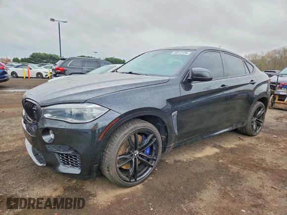 ✅ 2016 BMW X6 M • VIN: 5YMKW8C51G0R43738 • Lot: 50812126. Listed on Copart with 124,369 mi. Free auction sales archive from the USA and detailed vehicle history report at DreamBid. Image 1.