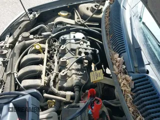 2004 Dodge Neon SE with VIN 1B3ES26C14D557254, listed as a IAAI auction lot 41906730 with 235,092 mi miles and . Bid and sale history available at DreamBid. Image 12.