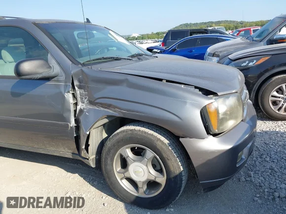 ✅ 2008 Chevrolet TrailBlazer 2LT • VIN: 1GNDS13S082145805 • Лот: 43350537. Опубликован ранее на IAAI с пробегом 162 940 миль. Бесплатный доступ к архиву аукционных продаж из США и подробный отчёт об истории автомобиля на DreamBid. Изображение 6.