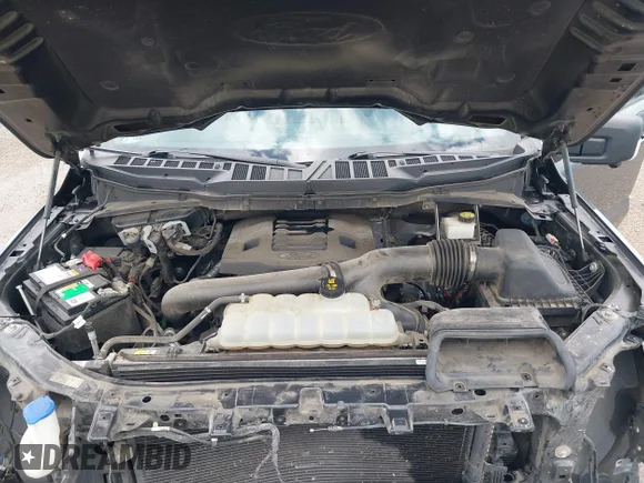 ✅ 2021 Ford F-150 XL • VIN: 1FTFW1E83MKE37630 • Lot: 44562332. Wystawiony na IAAI z przebiegiem 78 721 mil. Bezpłatny archiwum sprzedaży aukcyjnych z USA i szczegółowy raport historii pojazdu na DreamBid. Zdjęcie 10.