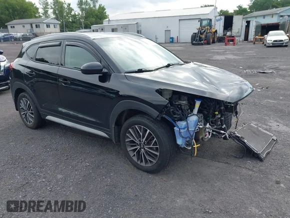 ✅ 2019 Hyundai Tucson Ultimate • VIN: KM8J3CAL6KU846923 • Lot: 42665619. Listed on IAAI with 73,033 mi. Free auction sales archive from the USA and detailed vehicle history report at DreamBid. Image 1.