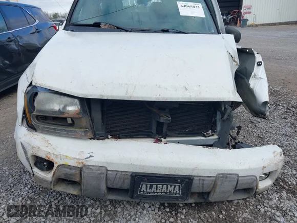 ✅ 2002 Chevrolet TrailBlazer LS • VIN: 1GNDS13S222182474 • Лот: 44065833. Опубліковано раніше на IAAI з пробігом 191 078 миль. Безкоштовний доступ до архіву аукціонних продажів зі США та докладний звіт про історію автомобіля на DreamBid. Зображення 6.