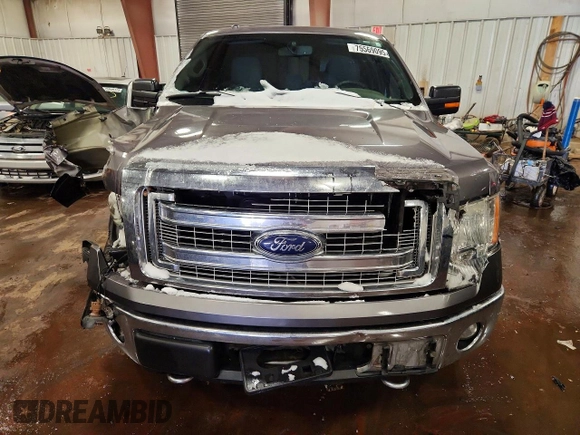 ✅ 2014 Ford F-150 STX • VIN: 1FTFX1EF1EKF96627 • Lot: 75569095. Wystawiony na Copart z przebiegiem 61 046 mil. Bezpłatny archiwum sprzedaży aukcyjnych z USA i szczegółowy raport historii pojazdu na DreamBid. Zdjęcie 5.