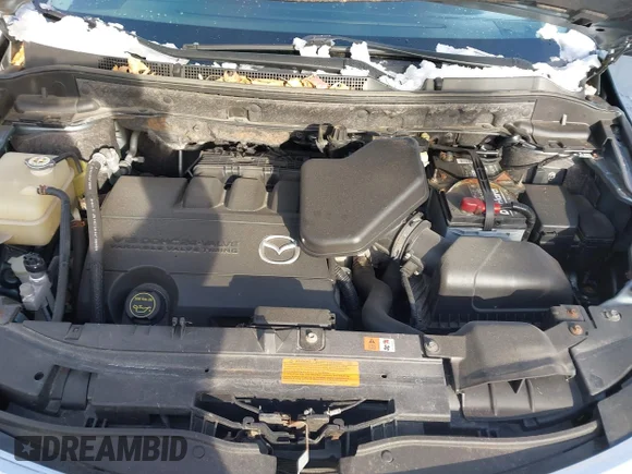 ✅ 2010 Mazda CX-9 Grand Touring • VIN: JM3TB3MV9A0237139 • Lot: 44241657. Wystawiony na IAAI z przebiegiem 183 663 mil. Bezpłatny archiwum sprzedaży aukcyjnych z USA i szczegółowy raport historii pojazdu na DreamBid. Zdjęcie 10.