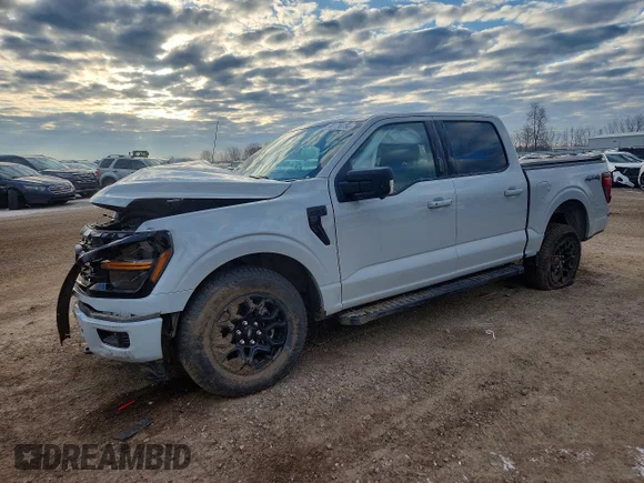 ✅ 2024 Ford F-150 XLT • VIN: 1FTEW3LP0RKD60918 • Lot: 46538756. Wystawiony na Copart z przebiegiem 10 146 mil. Bezpłatny archiwum sprzedaży aukcyjnych z USA i szczegółowy raport historii pojazdu na DreamBid. Zdjęcie 1.