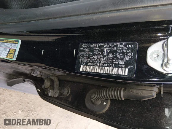 ✅ 2023 Hyundai Kona SEL • VIN: KM8K6CAB6PU041739 • Lot: 44821416. Wystawiony na IAAI z przebiegiem 53 561 mil. Bezpłatny archiwum sprzedaży aukcyjnych z USA i szczegółowy raport historii pojazdu na DreamBid. Zdjęcie 9.