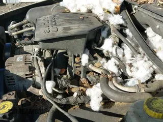 ✅ 2004 Dodge Dakota SLT • VIN: 1D7HG42N84S522082 • Lot: 43788784. Listed on IAAI with 139,248 mi. Free auction sales archive from the USA and detailed vehicle history report at DreamBid. Image 18.