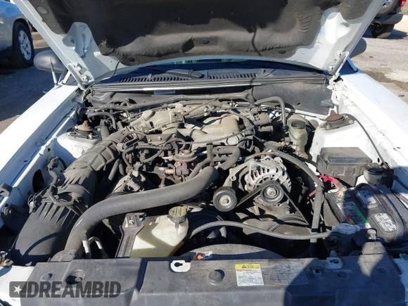 ✅ 2003 Ford Mustang Deluxe • VIN: 1FAFP44493F341267 • Lot: 43415986. Wystawiony na IAAI z przebiegiem Nie podano. Bezpłatny archiwum sprzedaży aukcyjnych z USA i szczegółowy raport historii pojazdu na DreamBid. Zdjęcie 10.