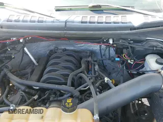 ✅ 2016 Ford F-150 XLT • VIN: 1FTEW1EF7GFB83167 • Lot: 41676945. Wystawiony na IAAI z przebiegiem 173 859 mil. Bezpłatny archiwum sprzedaży aukcyjnych z USA i szczegółowy raport historii pojazdu na DreamBid. Zdjęcie 19.