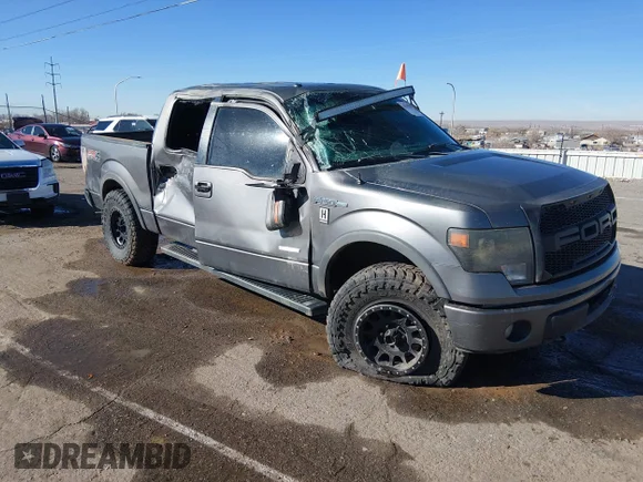 ✅ 2013 Ford F-150 XLT • VIN: 1FTFW1ET0DKE38464 • Lot: 44315808. Listed on IAAI with 169,270 mi. Free auction sales archive from the USA and detailed vehicle history report at DreamBid. Image 1.