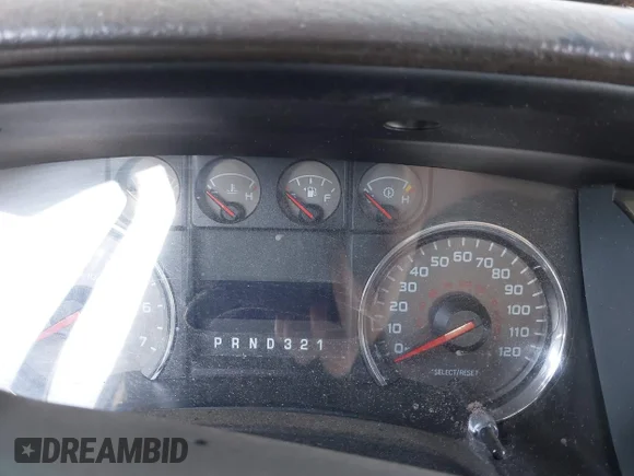 ✅ 2009 Ford F-150 XL • VIN: 1FTRW12879FA51293 • Lot: 44067025. Listed on IAAI with Not provided. Free auction sales archive from the USA and detailed vehicle history report at DreamBid. Image 7.