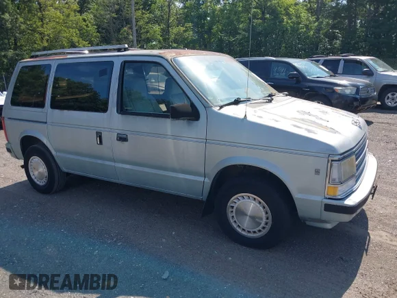 ✅ 1988 Plymouth Voyager • VIN: 2P4FH4135JR718133 • Lot: 42854450. Wystawiony na IAAI z przebiegiem 121 745 mil. Bezpłatny archiwum sprzedaży aukcyjnych z USA i szczegółowy raport historii pojazdu na DreamBid. Zdjęcie 1.