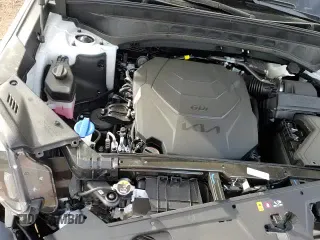 ✅ 2025 Kia Telluride SX X-Line • VIN: 5XYP5DGC6SG594579 • Lot: 48761095. Listed on Copart with 466 mi. Free auction sales archive from the USA and detailed vehicle history report at DreamBid. Image 14.