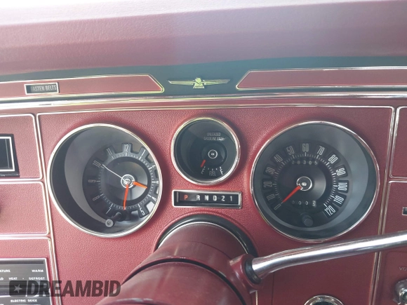 ✅ 1976 FORD THUNDERBIRD HARDTOP • VIN: 0000006Y87A133690 • Lot: 42240734. Wystawiony na IAAI z przebiegiem 28 305 mil. Bezpłatny archiwum sprzedaży aukcyjnych z USA i szczegółowy raport historii pojazdu na DreamBid. Zdjęcie 7.