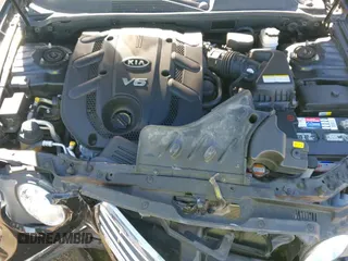 ✅ 2009 Kia Amanti • VIN: KNALD225395170274 • Lot: 43600791. Listed on IAAI with 165,431 mi. Free auction sales archive from the USA and detailed vehicle history report at DreamBid. Image 19.