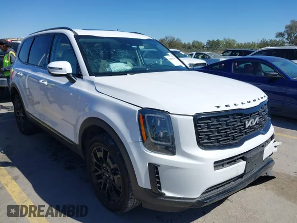✅ 2022 Kia Telluride EX • VIN: 5XYP3DHC5NG242215 • Lot: 41809074. Listed on IAAI with 41,245 mi. Free auction sales archive from the USA and detailed vehicle history report at DreamBid. Image 1.
