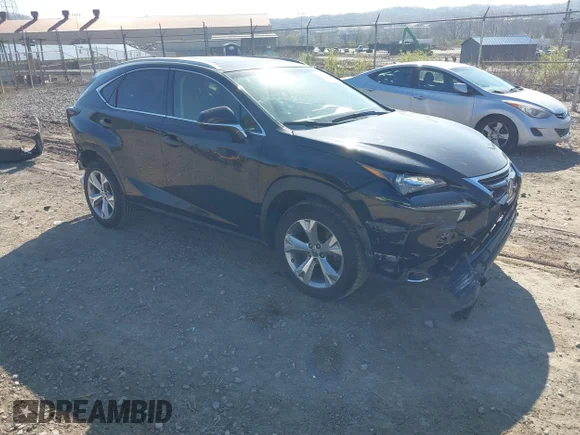 ✅ 2017 Lexus NX 200t • VIN: JTJYARBZ2H2062514 • Lot: 42028766. Listed on IAAI with 132,942 mi. Free auction sales archive from the USA and detailed vehicle history report at DreamBid. Image 1.