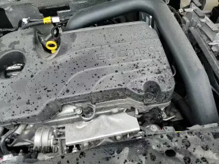 ✅ 2025 Chevrolet Equinox FWD LT • VIN: 3GNAXHEG5SL126288 • Lot: 81859065. Wystawiony na Copart z przebiegiem 24 459 mil. Bezpłatny archiwum sprzedaży aukcyjnych z USA i szczegółowy raport historii pojazdu na DreamBid. Zdjęcie 14.