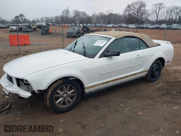 ✅ 2008 Ford Mustang Deluxe • VIN: 1ZVHT84N385144281 • Лот: 44305663. Опубліковано раніше на IAAI з пробігом 81 162 миль. Безкоштовний доступ до архіву аукціонних продажів зі США та докладний звіт про історію автомобіля на DreamBid. Зображення 2.
