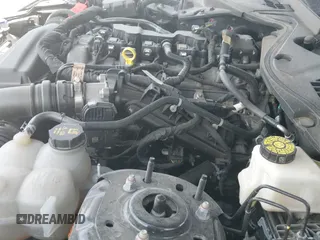 ✅ 2024 Ford Mustang EcoBoost • VIN: 1FA6P8TH4R5107323 • Lot: 42745254. Listed on IAAI with 56,425 mi. Free auction sales archive from the USA and detailed vehicle history report at DreamBid. Image 19.