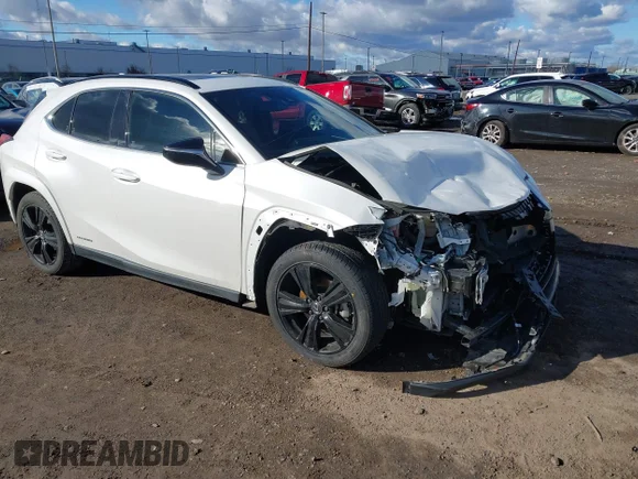 2021 Lexus UX 250h
