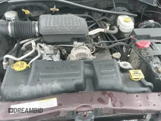 ✅ 2004 Dodge Dakota SLT • VIN: 1D7HG48N04S718220 • Lot: 42258803. Wystawiony na IAAI z przebiegiem 250 757 mil. Bezpłatny archiwum sprzedaży aukcyjnych z USA i szczegółowy raport historii pojazdu na DreamBid. Zdjęcie 12.