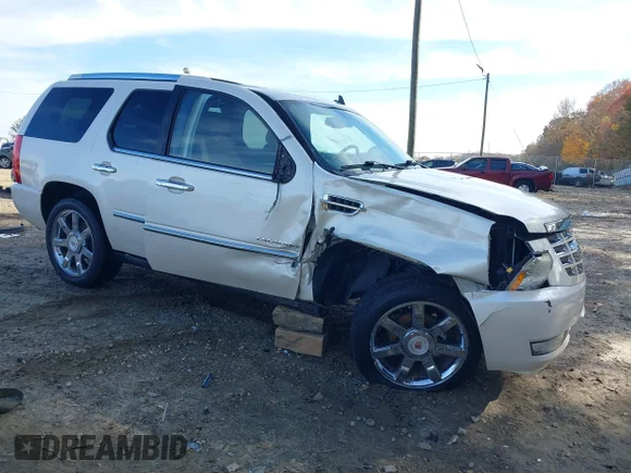 ✅ 2010 Cadillac Escalade Premium • VIN: 1GYUCCEF7AR160391 • Lot: 40980119. Listed on IAAI with 81,289 mi. Free auction sales archive from the USA and detailed vehicle history report at DreamBid. Image 1.