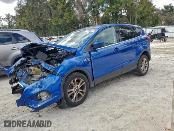 ✅ 2019 Ford Escape SE • VIN: 1FMCU0GD8KUA07067 • Lot: 96664555. Wystawiony na Copart z przebiegiem 125 792 mil. Bezpłatny archiwum sprzedaży aukcyjnych z USA i szczegółowy raport historii pojazdu na DreamBid. Zdjęcie 1.